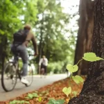 Sustainability in Bicycle Manufacturing and Trade