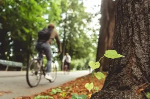 Sustainability in Bicycle Manufacturing and Trade